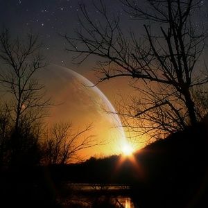 Meet your Posher, Chase